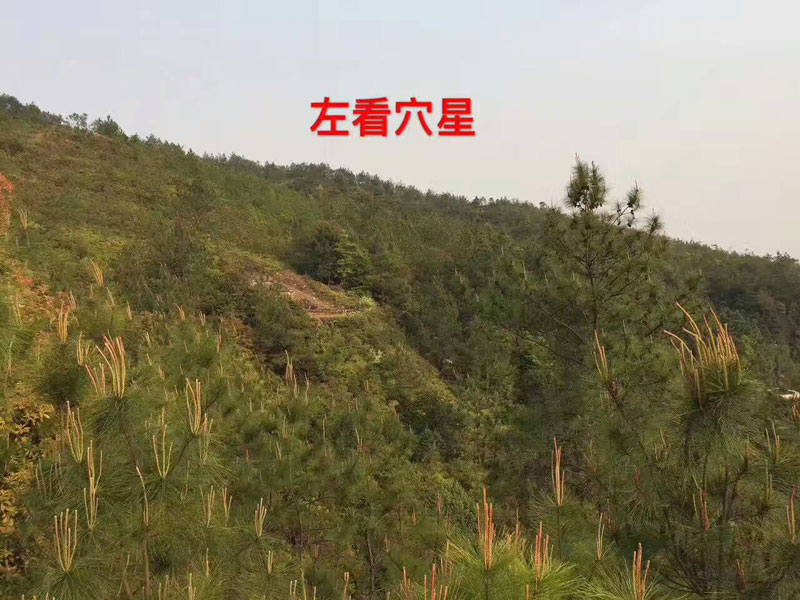阴宅风水考察